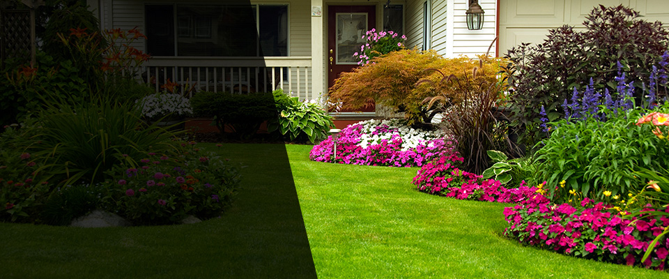 Constantine Landscapers