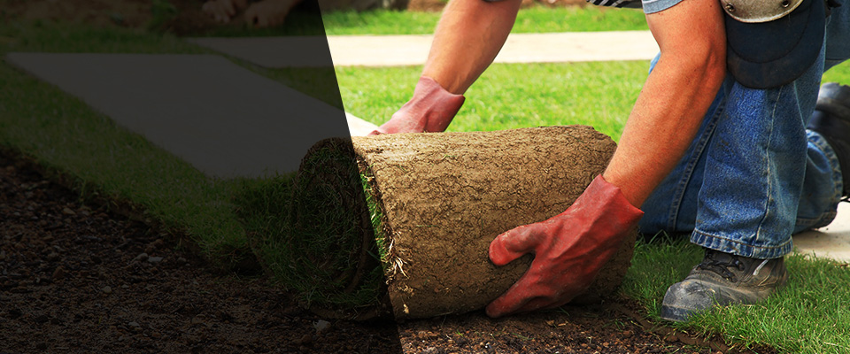 Constantine Landscapers